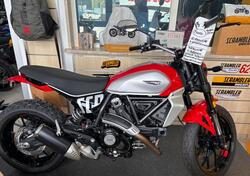 Ducati Scrambler 800 Icon (2023 - 25) usata