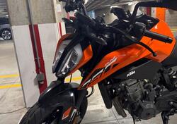 KTM 790 Duke L (2023 - 24) usata