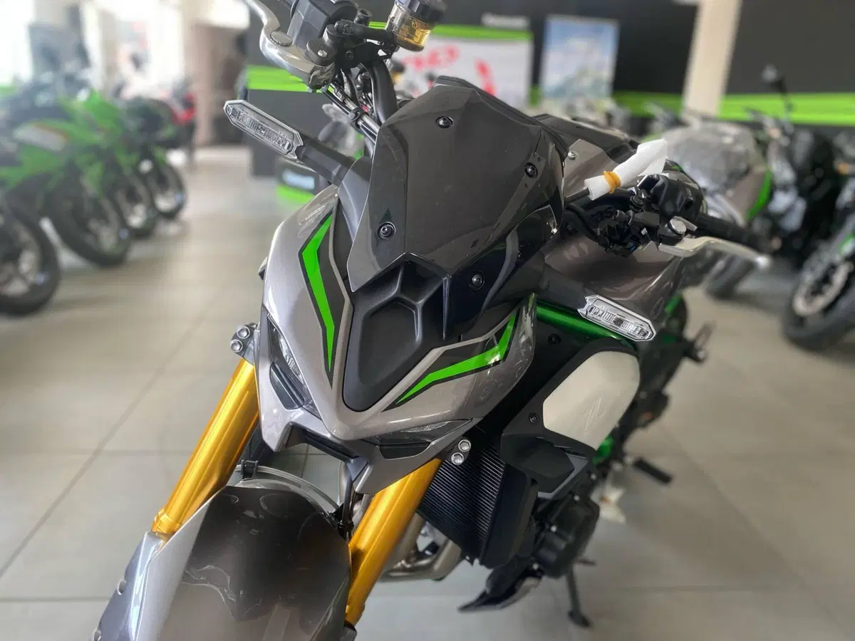Kawasaki Z 900 SE (2025 - 26) (3)