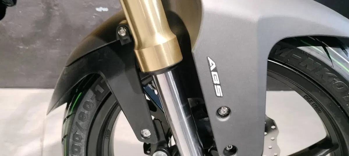 QJ Motor SRK 125 S (2023 - 24) (7)