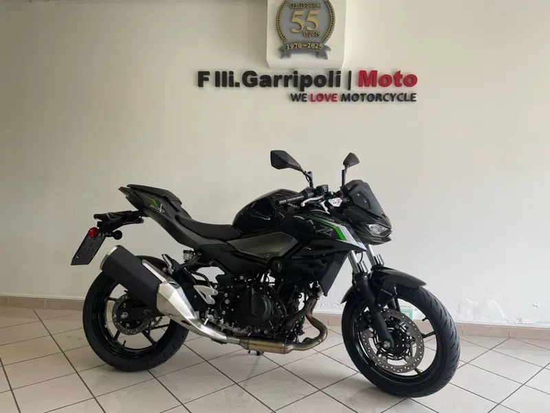 Kawasaki Z 500 (2024 - 26) (2)
