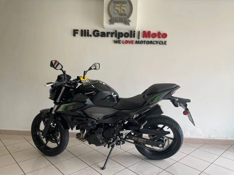 Kawasaki Z 500 (2024 - 26)