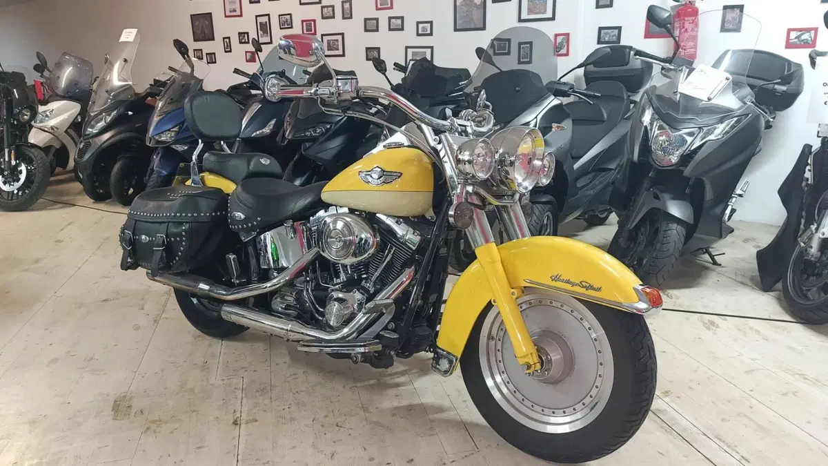 Harley-Davidson 1450 Heritage Classic (2003 - 05) - FLSTCI (2)