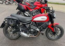 Ducati Scrambler 800 Icon (2021 - 22) usata