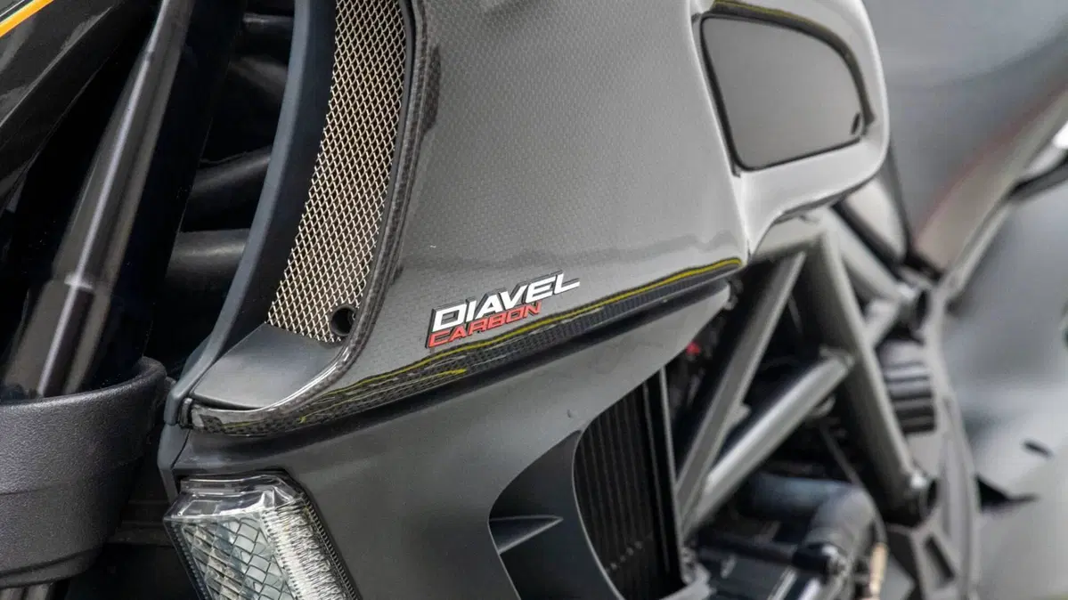 Ducati Diavel 1200 (2010 - 13) (14)