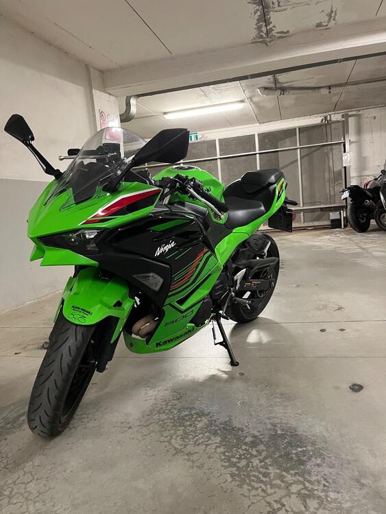 Kawasaki Ninja 500 SE (2024 - 25) (2)