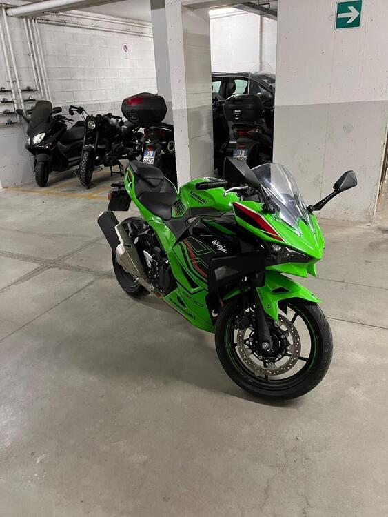 Kawasaki Ninja 500 SE (2024 - 25) (5)