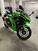 Kawasaki Ninja 500 SE (2024 - 25) (7)