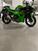 Kawasaki Ninja 500 SE (2024 - 25) (8)