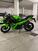 Kawasaki Ninja 500 SE (2024 - 25) (9)