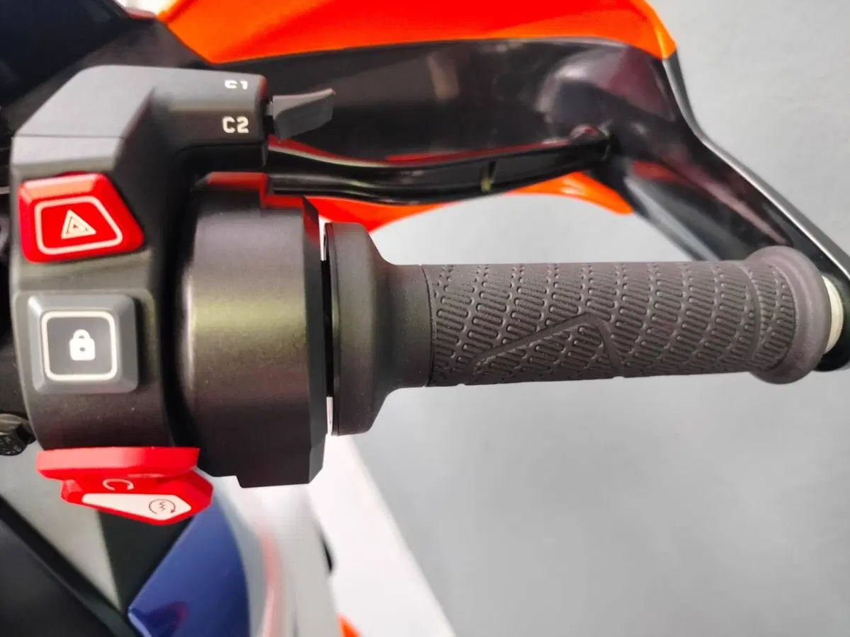 KTM 1290 Super Adventure R (2021) (13)