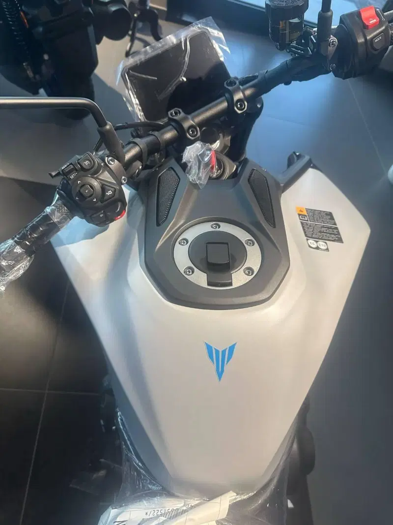 Yamaha MT-09 (2024 - 26) (4)