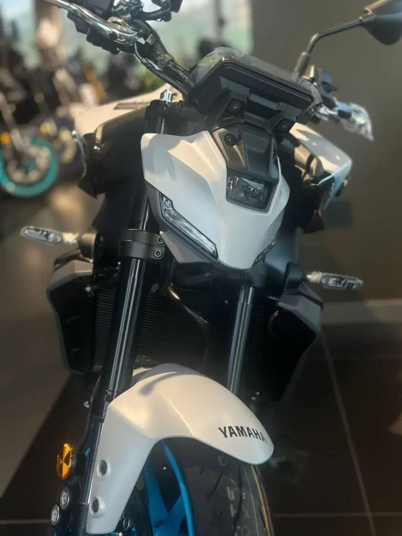 Yamaha MT-09 (2024 - 26) (6)