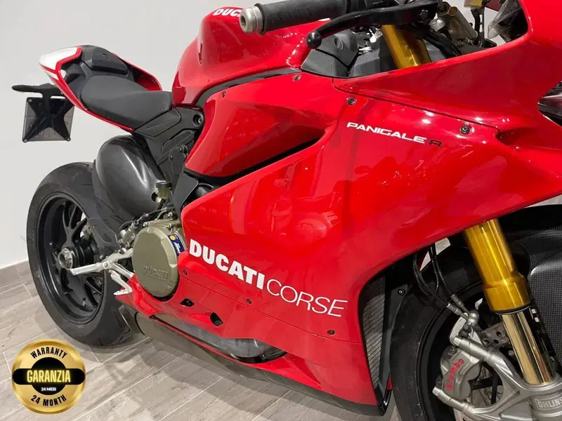 Ducati 1199 Panigale R ABS (2013 - 17) (13)