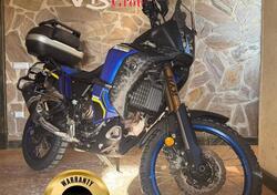 Yamaha Ténéré 700 World Rally (2023 - 25) usata
