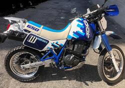Suzuki DR 650 R (1990 - 91) usata