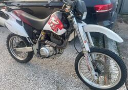 Yamaha TT 600 R usata