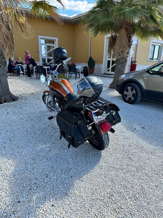 Harley-Davidson 1200 Custom (2004 - 06) - XL 1200C