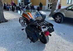 Harley-Davidson 1200 Custom (2004 - 06) - XL 1200C usata