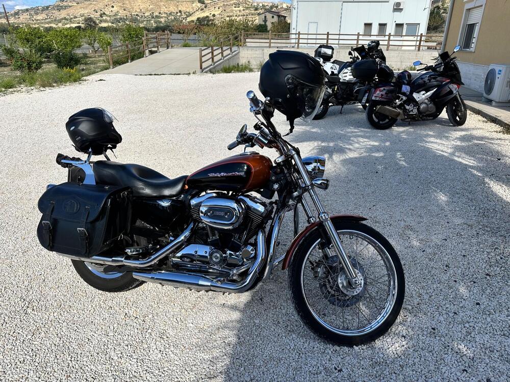 Harley-Davidson 1200 Custom (2004 - 06) - XL 1200C (3)