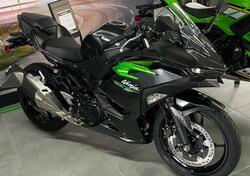Kawasaki Ninja 500 (2024 - 25) nuova