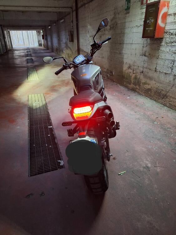 Benelli Leoncino 800 Trail (2022 - 25) (3)