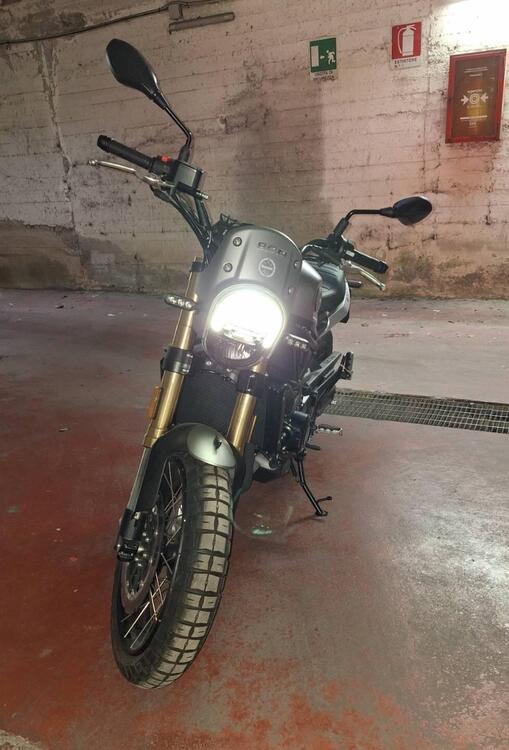 Benelli Leoncino 800 Trail (2022 - 25) (4)