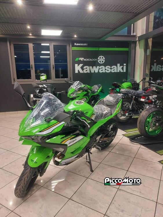 Kawasaki Ninja 500 SE (2024 - 25)