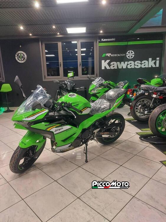 Kawasaki Ninja 500 SE (2024 - 25) (2)