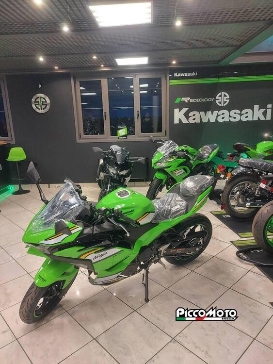 Kawasaki Ninja 500 SE (2024 - 25) (3)