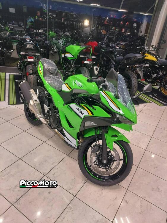 Kawasaki Ninja 500 SE (2024 - 25) (4)