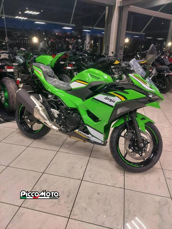 Kawasaki Ninja 500 SE (2024 - 25) (5)