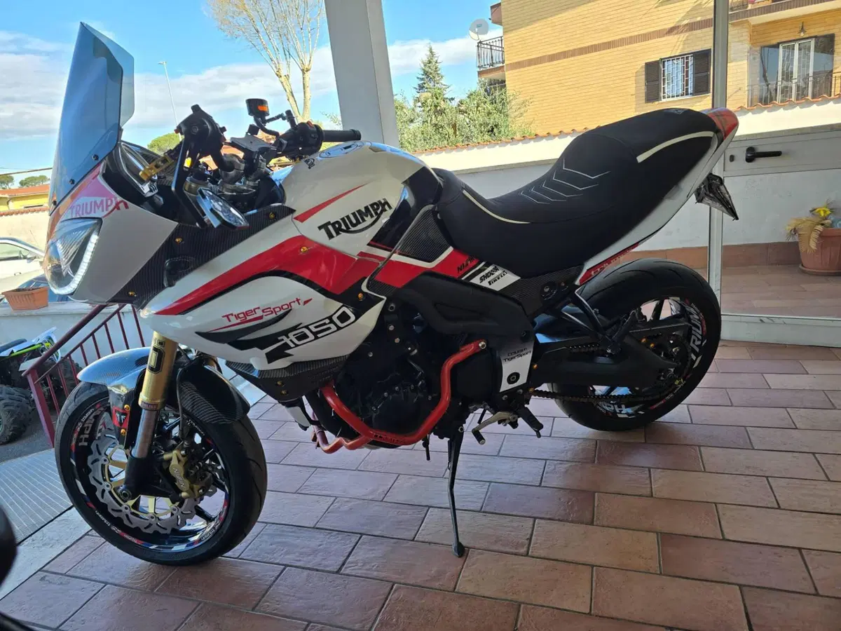 Triumph Tiger 1050 (2006 - 12) (9)