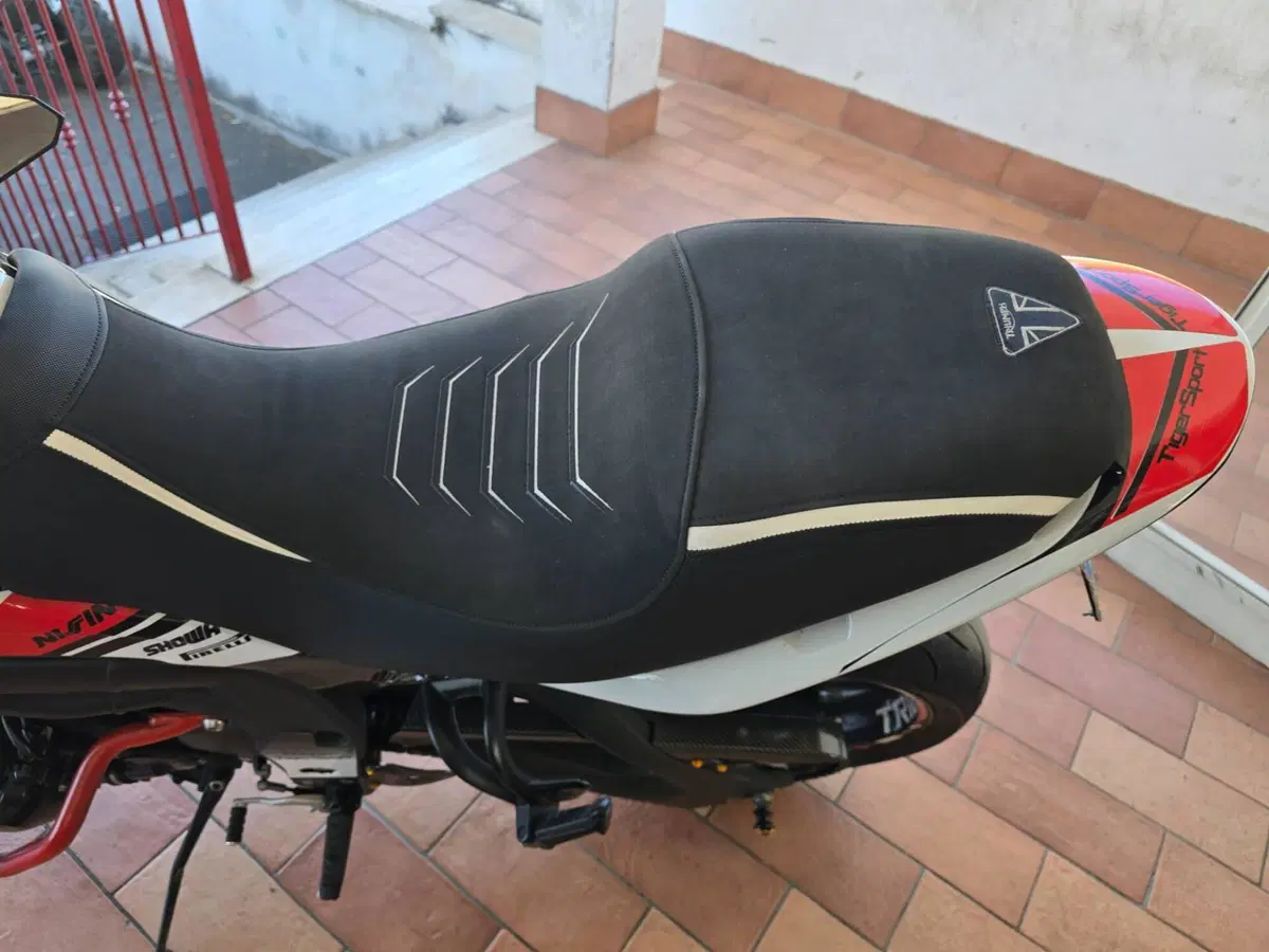 Triumph Tiger 1050 (2006 - 12) (10)