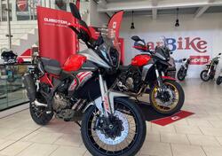QJ Motor SRT 600 SX (2024 - 25) nuova