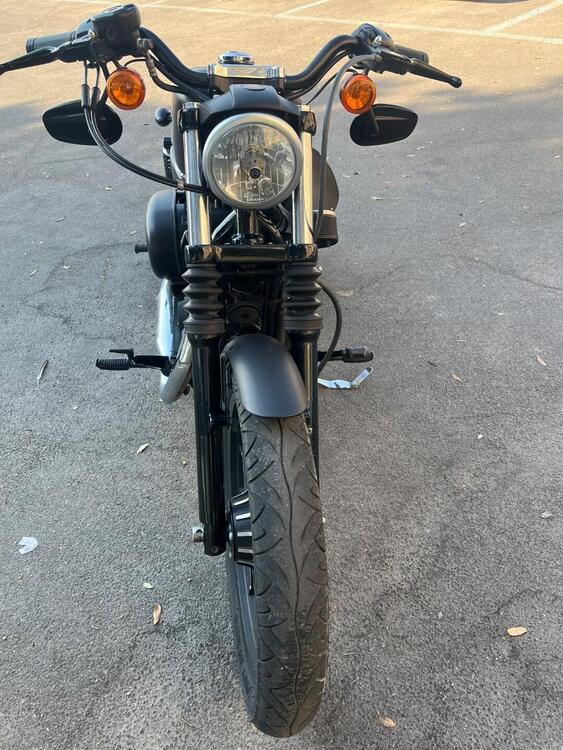 Harley-Davidson 883 Iron (2012 - 14) - XL 883N (4)