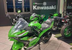Kawasaki Ninja 500 SE (2024 - 25) nuova