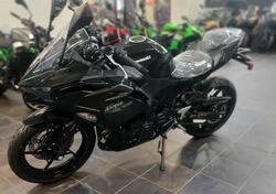 Kawasaki Ninja 500 (2024 - 25) nuova