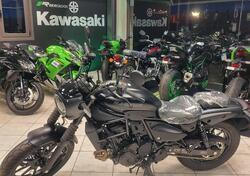 Kawasaki Eliminator 500 (2024 - 25) nuova