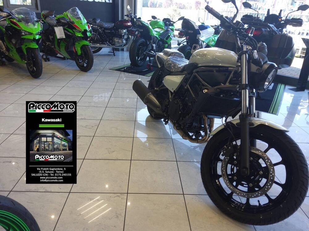 Kawasaki Eliminator 500 (2024 - 26) (4)