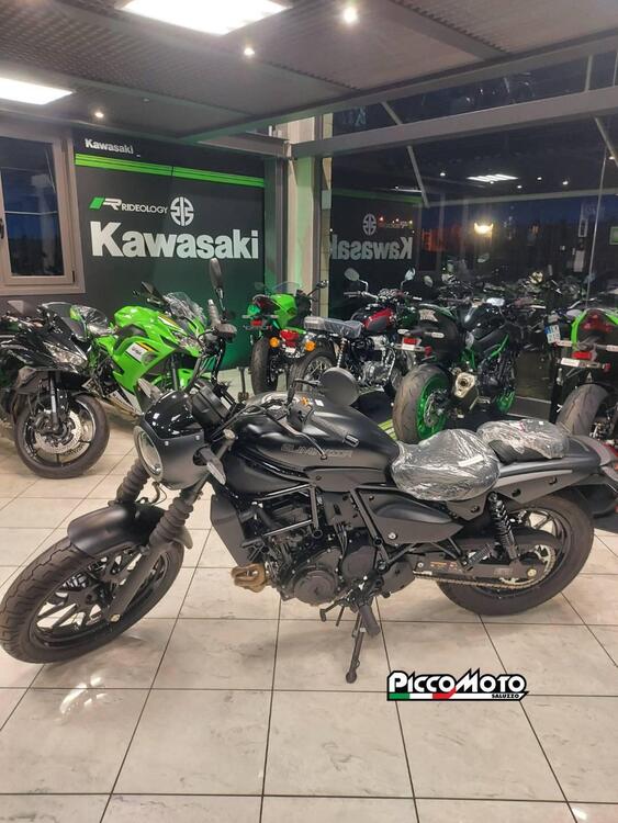 Kawasaki Eliminator 500 SE (2024 - 26)