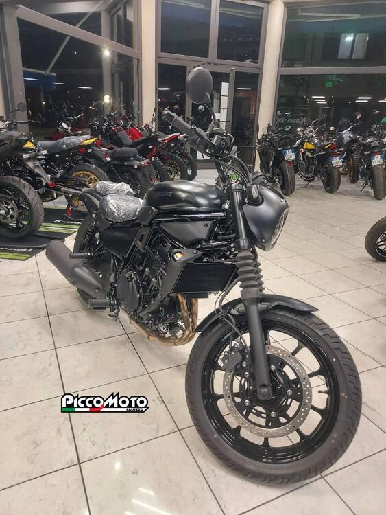 Kawasaki Eliminator 500 SE (2024 - 26) (2)