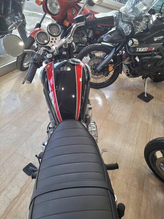 Triumph Bonneville 800 (2002 - 07) (4)