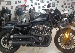Harley-Davidson 1200 Roadster (2017 - 20) - XL 1200R usata