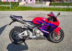Honda CBR 600 RR (2005 - 06) usata