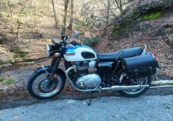 Triumph Bonneville T100 (2017 - 20) usata