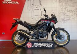 Honda Transalp XL750 (2025) nuova