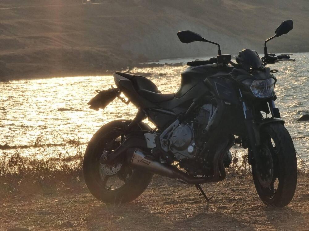 Kawasaki Z 650 (2017 - 19) (5)