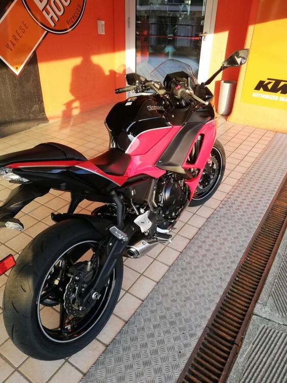Kawasaki Ninja 650 40th Anniversary Edition (2024) (3)