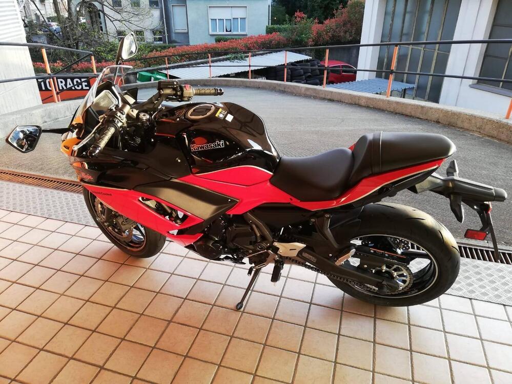 Kawasaki Ninja 650 40th Anniversary Edition (2024) (5)